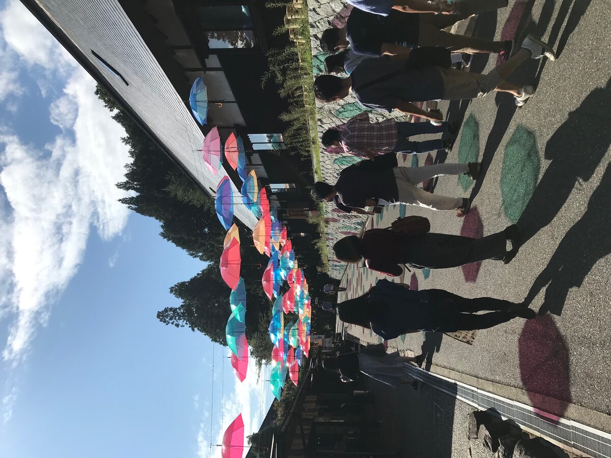 風土・仲間