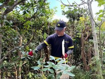 株式会社山門造園社everyday greening